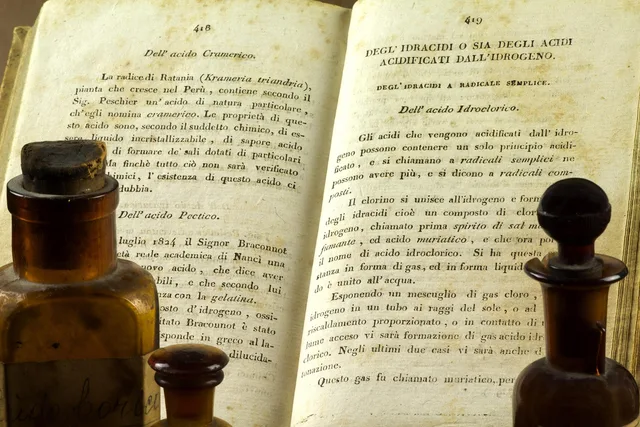 text, no person, document, paper, vintage. How to Prepare Certified Translations for USCIS Petitions