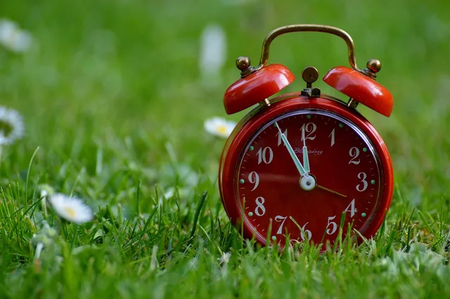 the eleventh hour, catastrophe, alarm clock, beautiful flowers, flower wallpaper, clock, ring the bell, dial, pointer, hours, time display, time, nature, flower background, meadow, flower, green. Translation agency growth compared: fixing response time versus adding spend