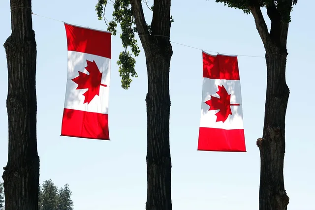 canada day, canada, flag, celebration, holiday, nature, country, leaf, maple, national, celebrate, summer, canadian flag, red, day, commemoration. How the Official Languages Act shapes Canadian agency operations