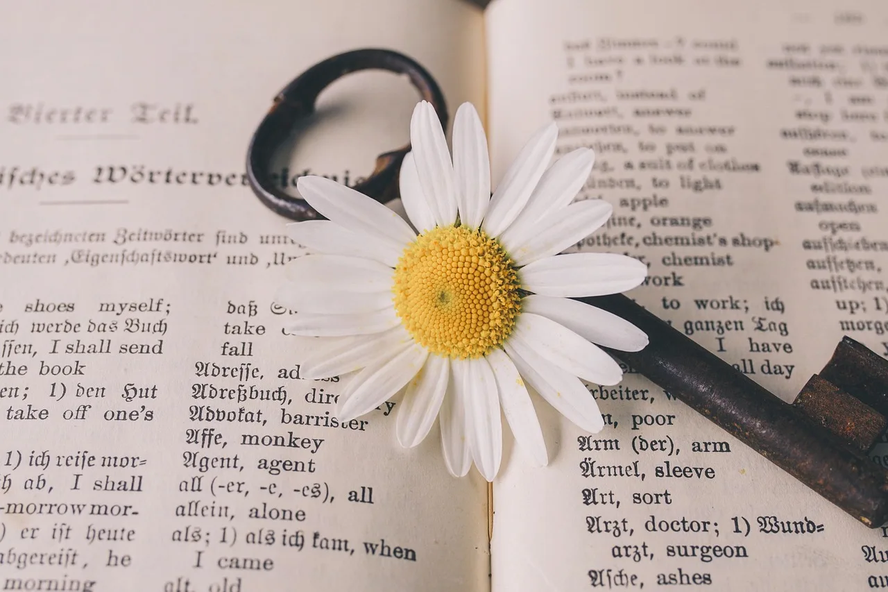 key, old, flower, nostalgic, flower wallpaper, beautiful flowers, vintage, flower background, marguerite, blossom, bloom, rust, metal, antique, dictionary, german-english, translation, nature, words, a book. How to score a translation agency plan, section by section