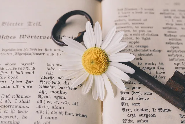 key, old, flower, nostalgic, flower wallpaper, beautiful flowers, vintage, flower background, marguerite, blossom, bloom, rust, metal, antique, dictionary, german-english, translation, nature, words, a book. How to score a translation agency plan, section by section