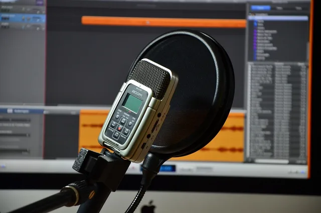 microphone, audio, recording, micro, music, sound, sound recording, volume, to speak, records, equipment, pop protection, voice recording, vocal microphone, icon, microphone, microphone, microphone, microphone, microphone, voice recording, voice recording. Partnering on US Indigenous Localization Projects: Funding, Scoping and Tribal Contract Rules